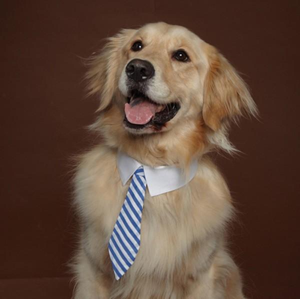 enhanced buzz 1760 1331242670 15