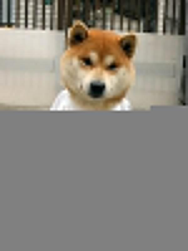 enhanced buzz 1764 1331242693 15