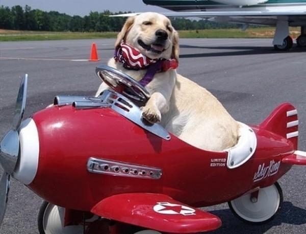 enhanced buzz 1948 1331242278 127