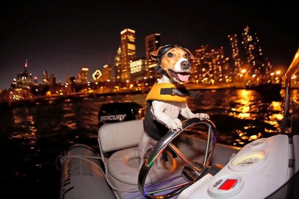 enhanced buzz 1948 1331242497 134