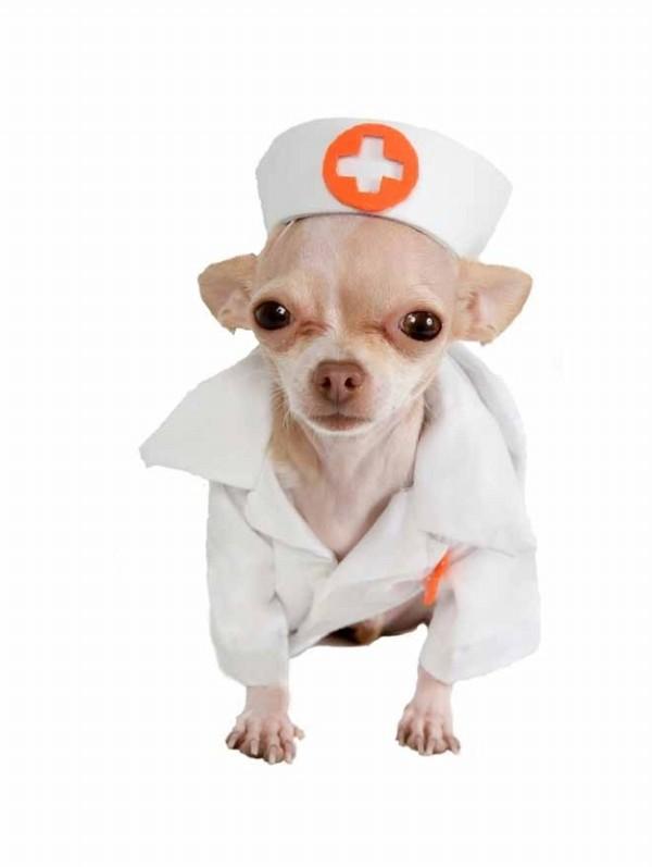 enhanced buzz 1981 1331243259 158