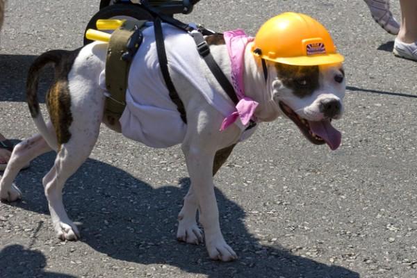 enhanced buzz 1999 1331243623 172