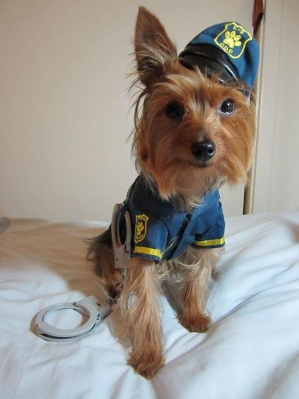 enhanced buzz 2994 1331242182 6