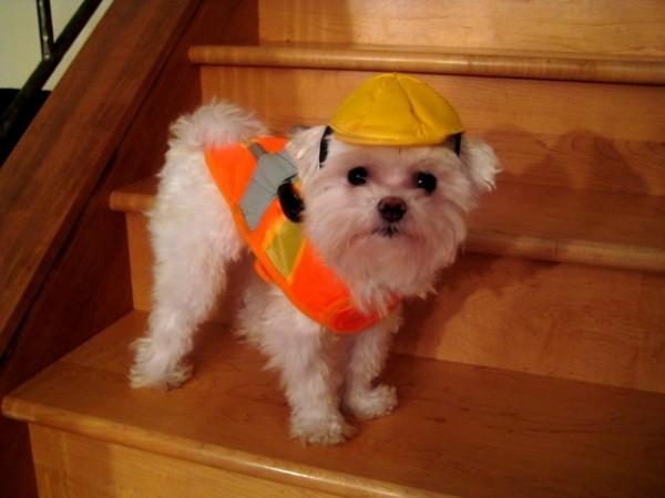 enhanced buzz 3161 1331243423 27