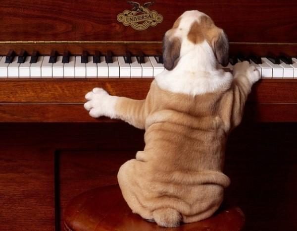 enhanced buzz 6993 1331242810 84