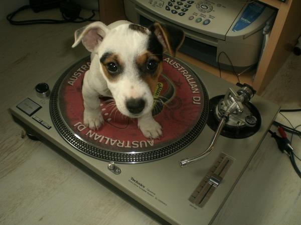 enhanced buzz 7018 1331243078 83