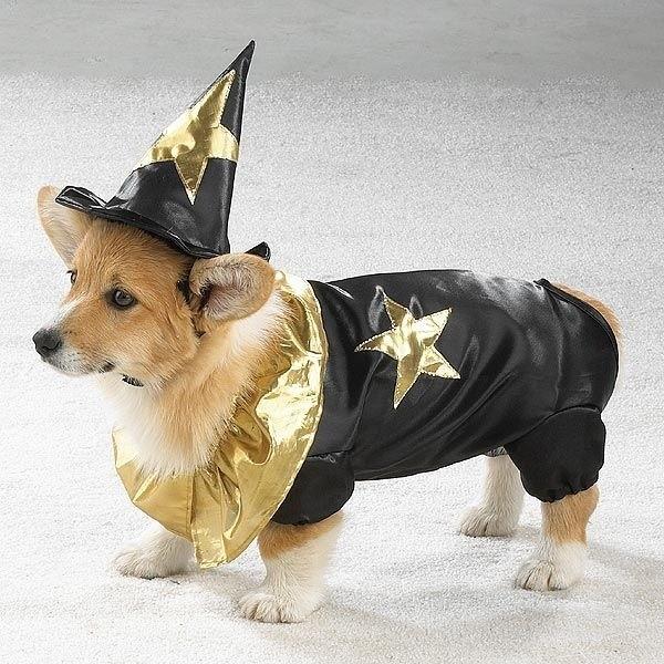 enhanced buzz 7049 1331243802 81