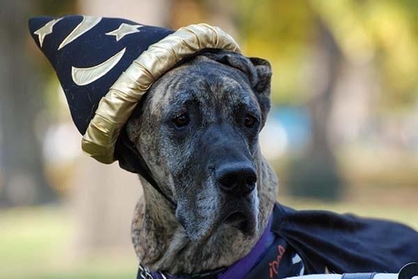 enhanced buzz 7051 1331243752 88