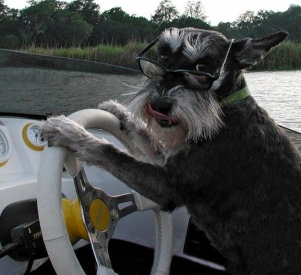 enhanced buzz 7057 1331242487 117