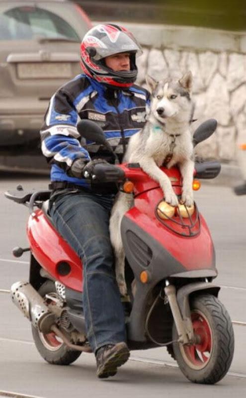 enquanto isso na russia (20)