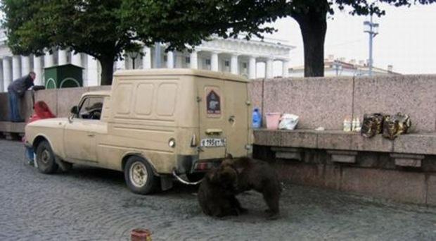 enquanto isso na russia (2)