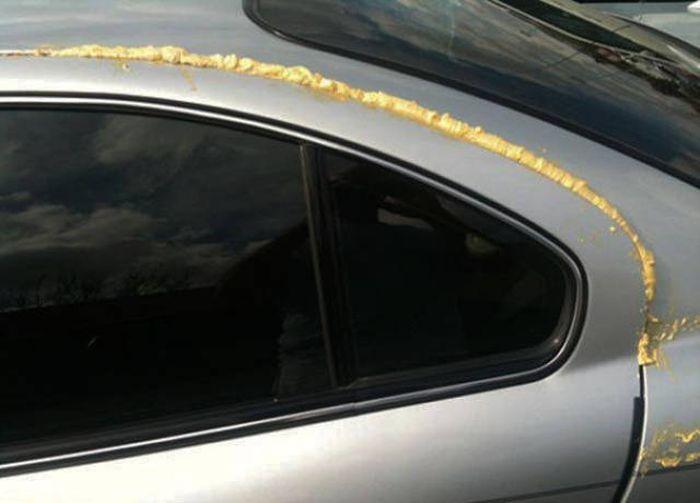 entao eu consertei 19