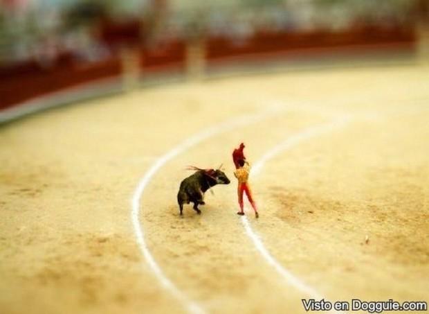 estranhas miniaturas de nosso mundo 19