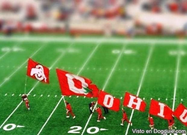 estranhas miniaturas de nosso mundo 4