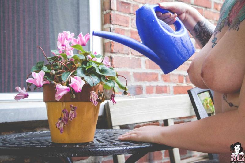 Gordinha peituda pelada gostosa