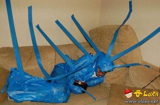 festa-duro consequencias loxa (24)