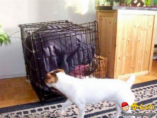 festa-duro consequencias loxa (34)