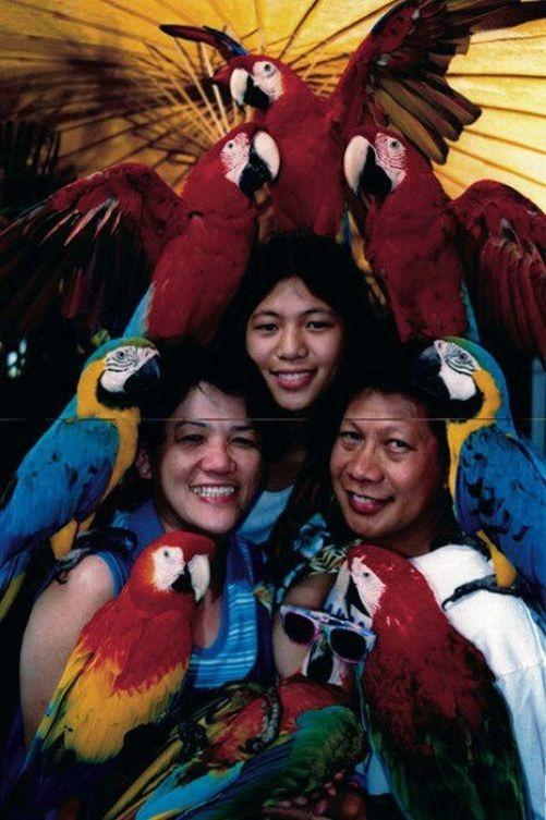 fotos de familias antigas (25)