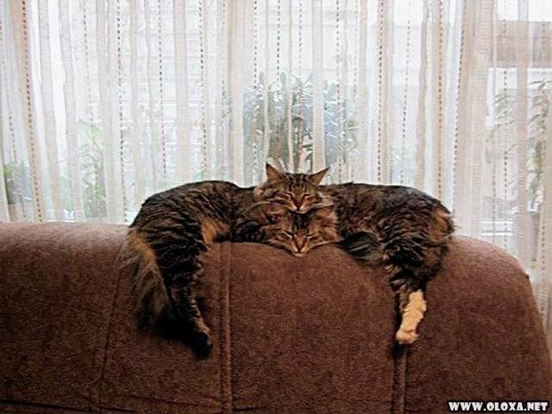 Nada foi planejado. Só clicado na hora certa.