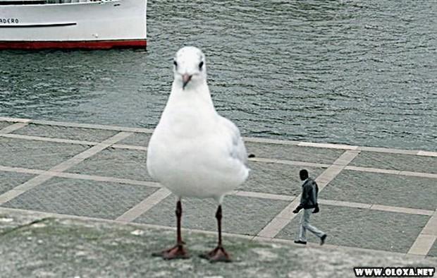 fotos tiradas no angulo certo 23