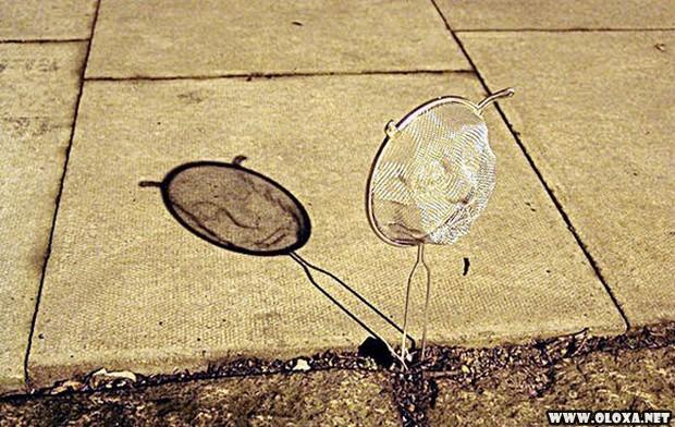 fotos tiradas no angulo certo 24