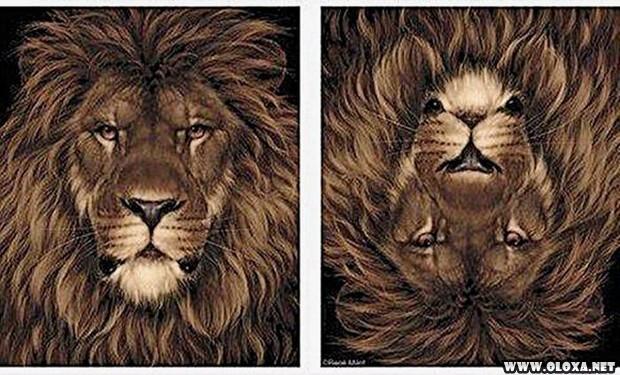 fotos tiradas no angulo certo 25