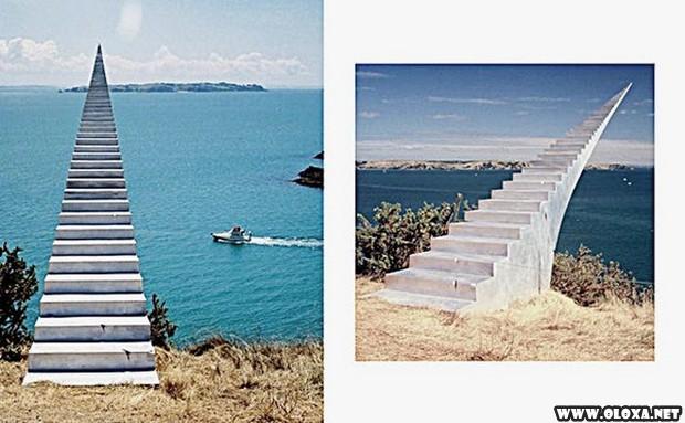 fotos tiradas no angulo certo 3