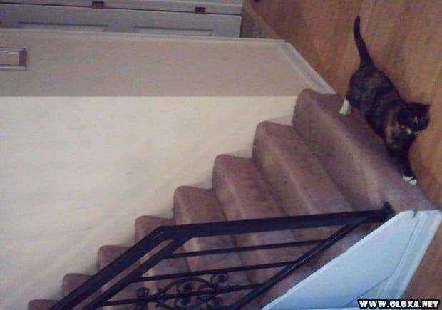 fotos tiradas no angulo certo 5