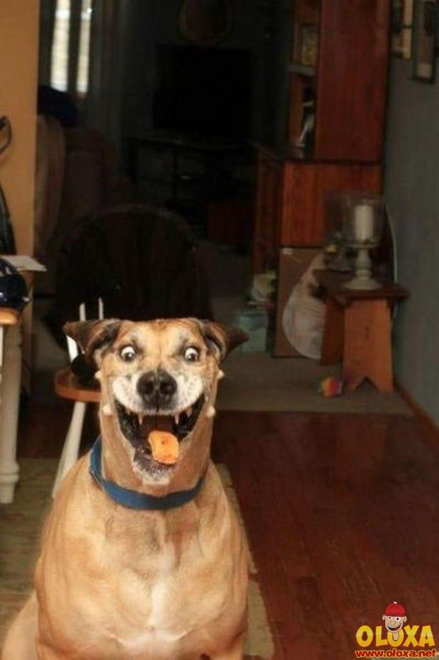 Fotos tiradas no momento certo