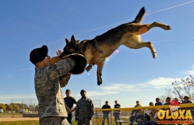 fotos tiradas no momento certo 11