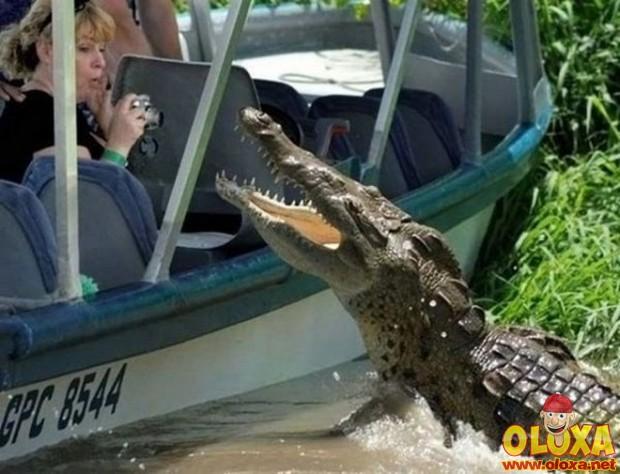 fotos tiradas no momento certo 6