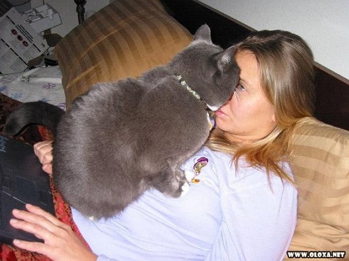 gatos simplesmente sendo gatos 15