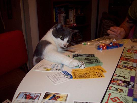 Gente boa? Nada. Gato engraçado é que conquista todo mundo.