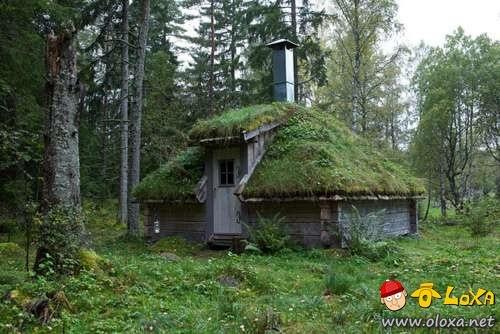 houses-built-in-nature-12