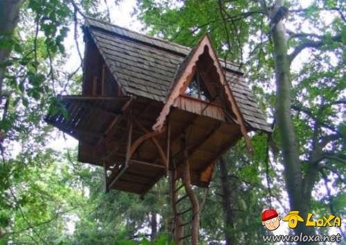 houses-built-in-nature-19