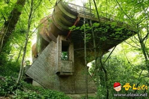 houses-built-in-nature-21