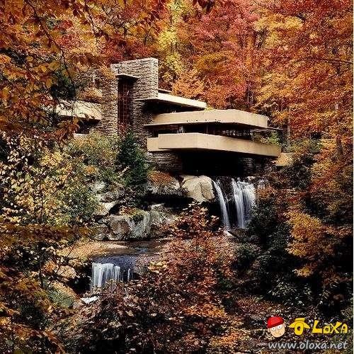 houses-built-in-nature-4