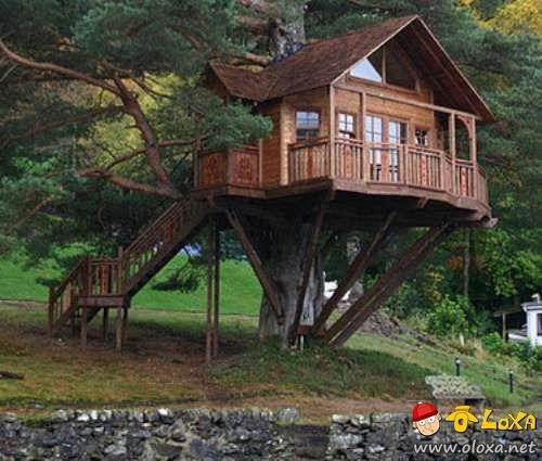 houses-built-in-nature-5