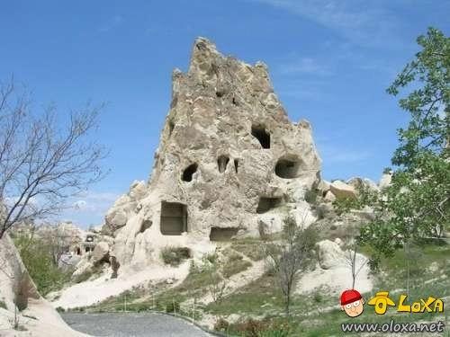 houses-built-in-nature-6