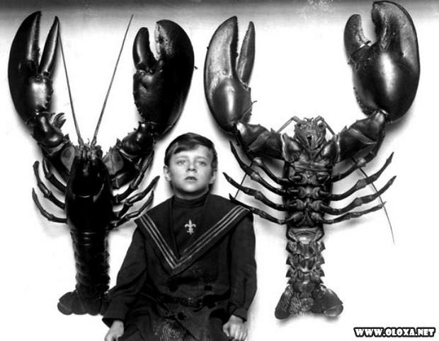 imagens inexplicaveis que ninguem explica antigas 16