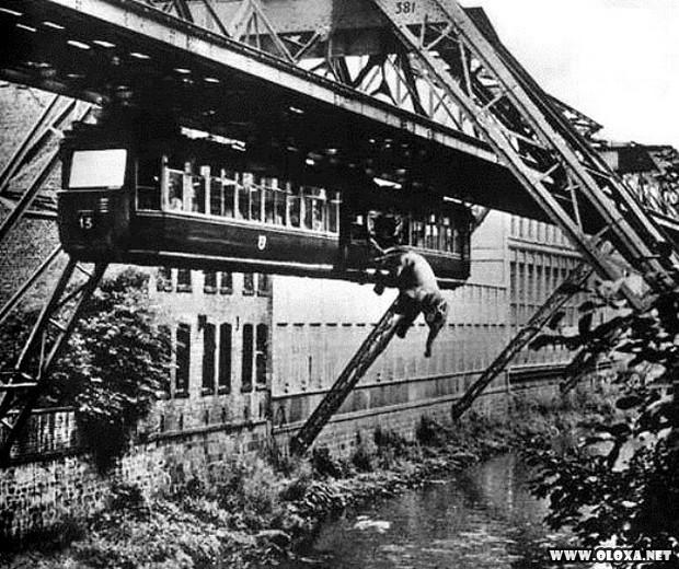 imagens inexplicaveis que ninguem explica antigas 29