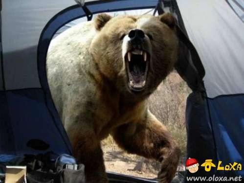 impending-doom-photos-11