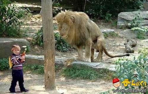 impending-doom-photos-15