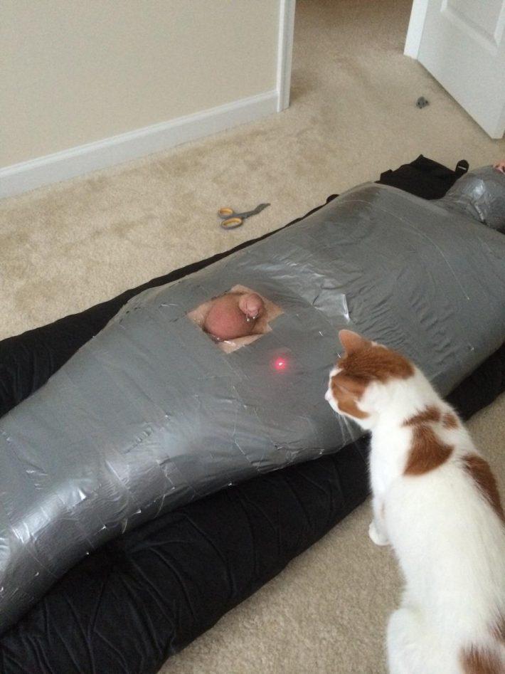 Homem todo colado em silver tape com o pau exposto e um gato encarando a rola como se fosse caça profissional