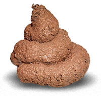 MERDA - O uso do vocábulo é uma questão de educação!