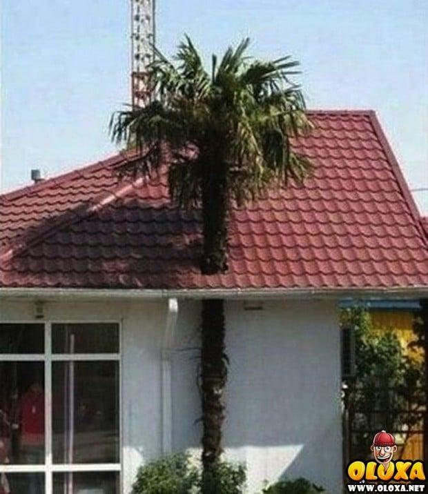 mestres da engenharia civil 10