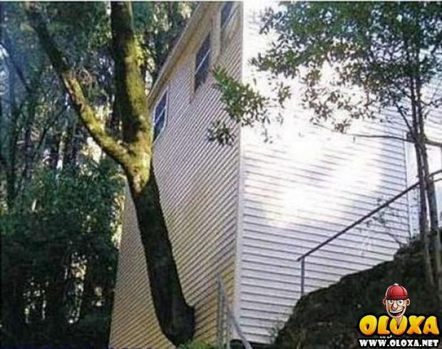 mestres da engenharia civil 11