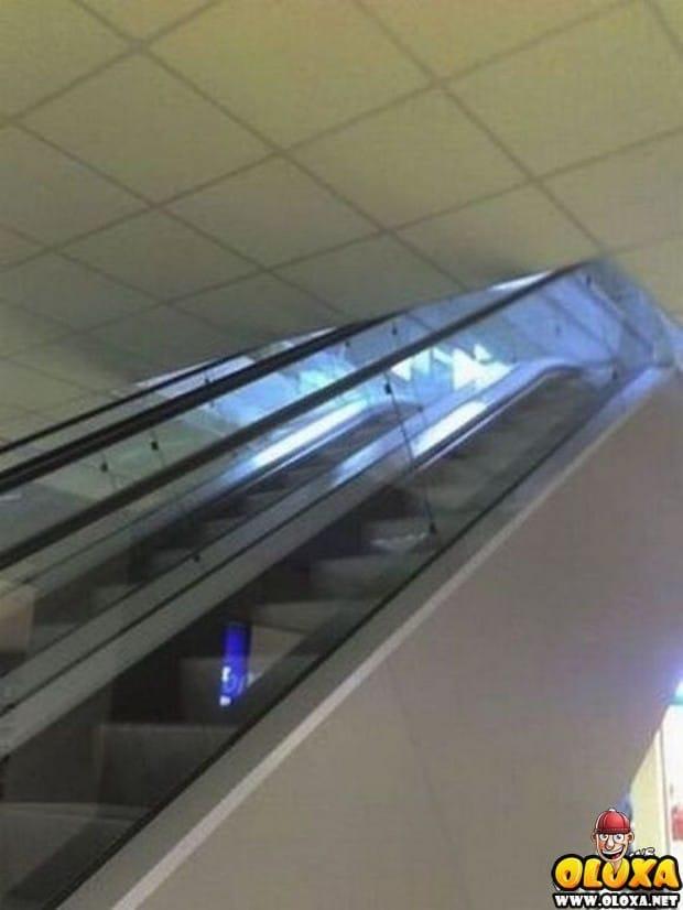 mestres da engenharia civil 3