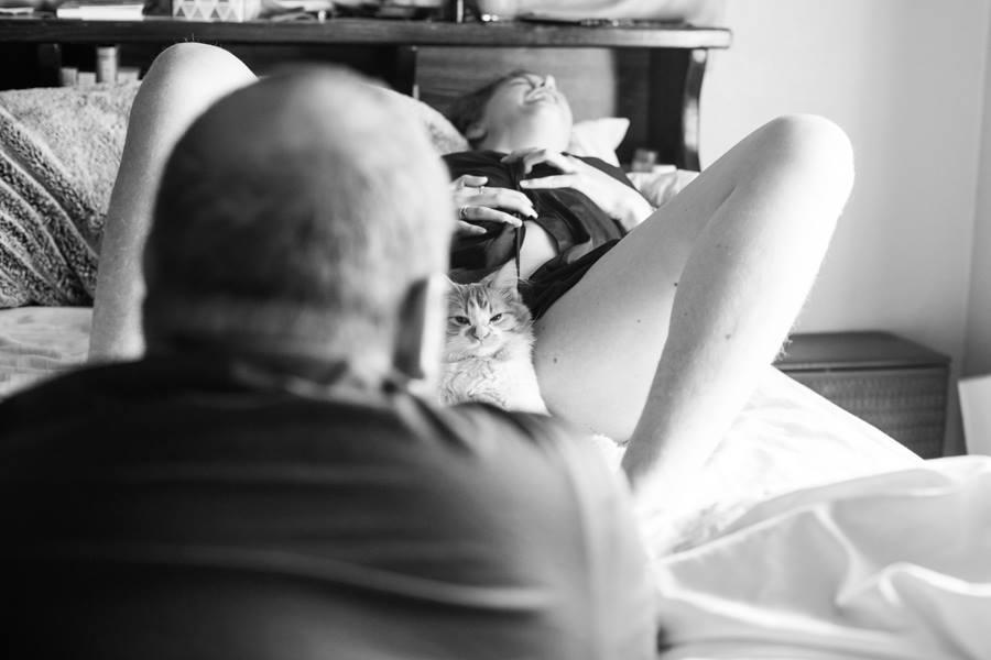 Casal faz ensaio de fotos do noticias doida gatinho 6