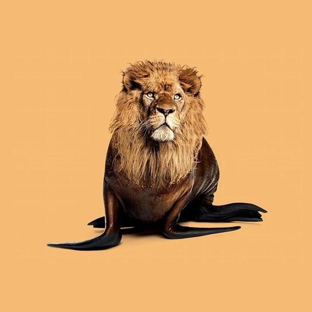 noticias doidas Photosho 10